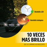 gid://shopify/MediaImage/26444669517859